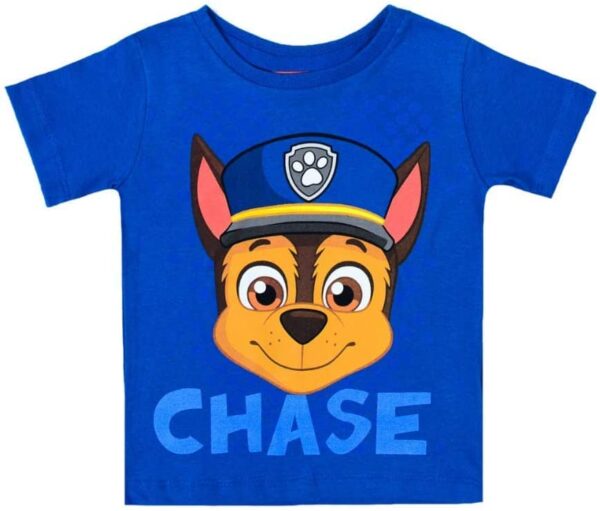 paw patrol chase